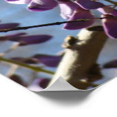 Wisteria-Cluster Poster (Ecke)