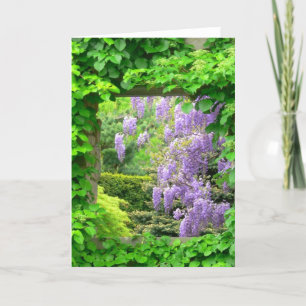 WISTERIA DURCH IVY COVERED OPEN FENDOW" KARTE