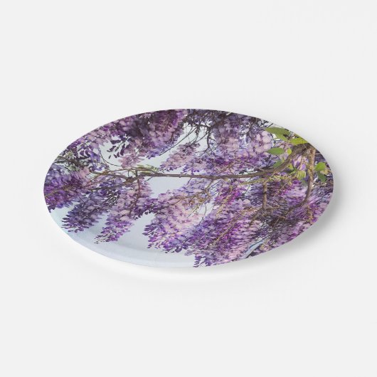 Wisteria-Duschen-Papier-Teller Pappteller (Schrägansicht)