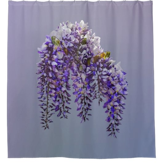 Wisteria Duschvorhang (Vorderseite)