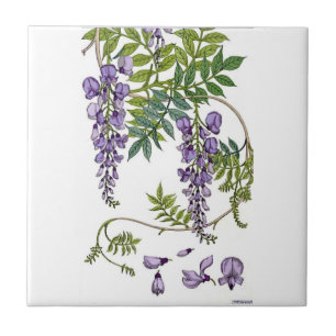Wisteria Fliese