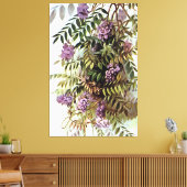 Wisteria Frutescens Botanische Malerei Leinwanddruck (Insitu (Wohnzimmer))