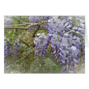 Wisteria im Wald