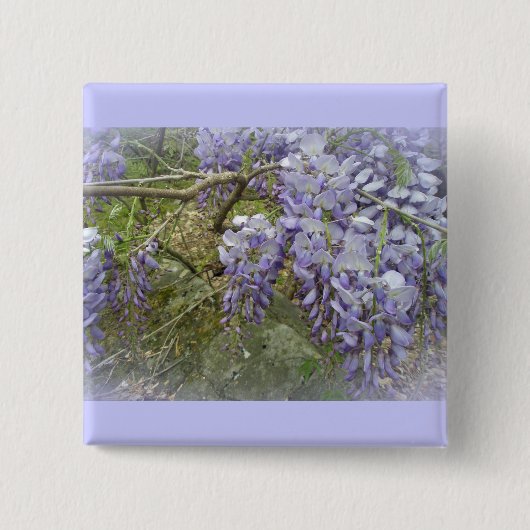 Wisteria im Wald Button (Vorderseite)