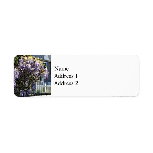 Wisteria in Bloom (Vorne)