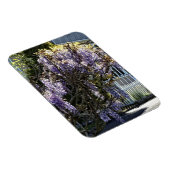 Wisteria in Bloom Magnet (Rechte Seite)