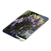 Wisteria in Bloom Magnet (Linke Seite)