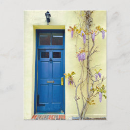 Wisteria in Bloom New York Postcard Postkarte