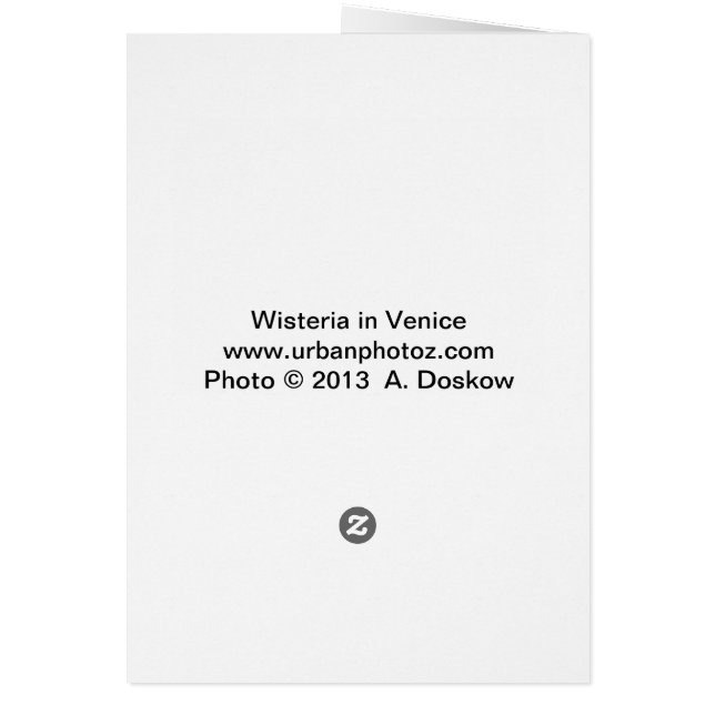 Wisteria in Venedig (Hinten)