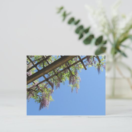 Wisteria: Japan Postkarte (Stehend Vorderseite)
