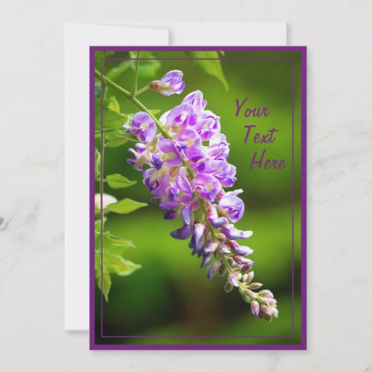 Wisteria Karte (Vorderseite)