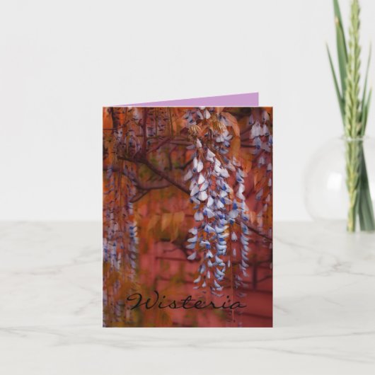 Wisteria Karte (Vorderseite)