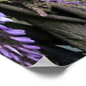 Wisteria & Large birds Dreamscape Theme Poster (Ecke)