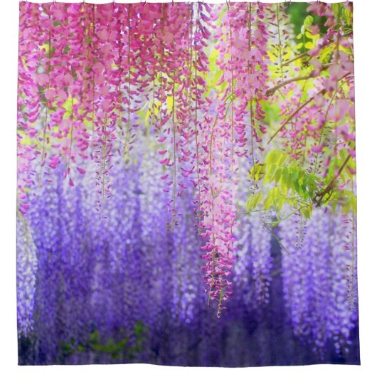 Wisteria Lavendel rosa weißer Duschvorhang (Vorderseite)