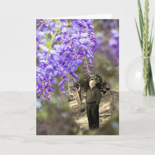 Wisteria Life Ankündigung (Vorderseite)