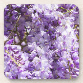 Wisteria Lila Floral Blossom Tree Violet Getränkeuntersetzer (Vorderseite)