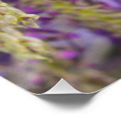 Wisteria Lila Floral Blossom Tree Violet Poster (Ecke)
