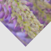 Wisteria Lila Floral Blossom Tree Violet Seidenpapier (Detail)