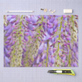 Wisteria Lila Floral Blossom Tree Violet Seidenpapier (Handwerk)