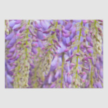 Wisteria Lila Floral Blossom Tree Violet
