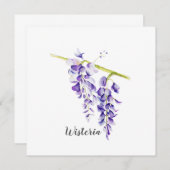 Wisteria Locarno (Vorne/Hinten)