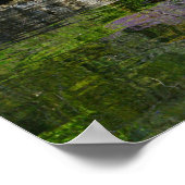 Wisteria Locarno Poster (Ecke)