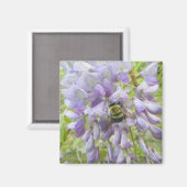 Wisteria & Male Carpenter Bee Magnet (Vorderseite/Rückseite)