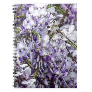 Wisteria Notizblock