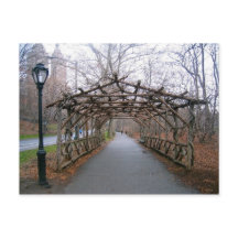 Wisteria Pergola New York City Central Park NYC
