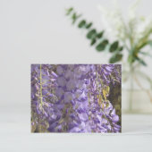 Wisteria Postcard Postkarte (Stehend Vorderseite)