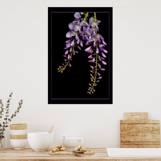 Wisteria Poster (Küche)