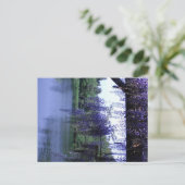 Wisteria Postkarte (Stehend Vorderseite)