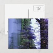 Wisteria Postkarte (Vorne/Hinten)