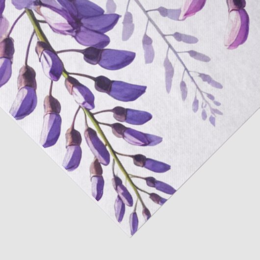 Wisteria Purple Blumen Wildblumen Aquarell Seidenpapier (Detail)