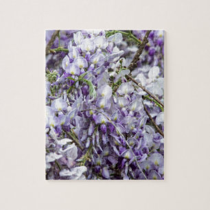 Wisteria Puzzle