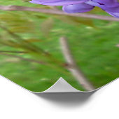 "Wisteria".. Schriftzüge Poster (Ecke)