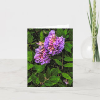 Wisteria @ Stenton House Museum & Garden Notizkart Dankeskarte