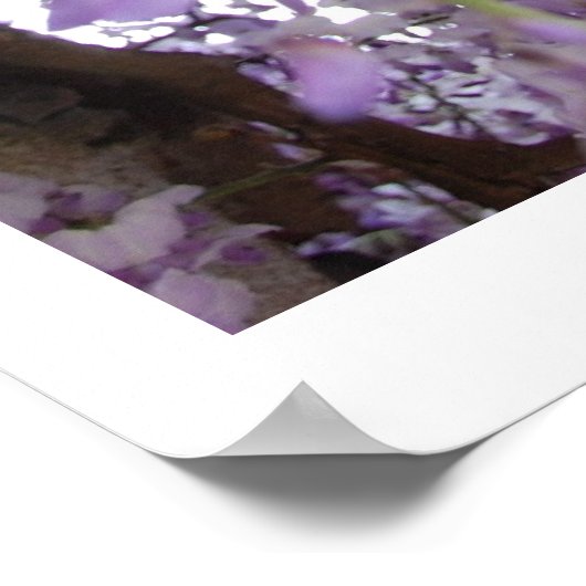 Wisteria Toposter Poster (Ecke)