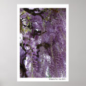Wisteria Toposter Poster (Vorne)