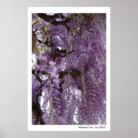 Wisteria Toposter Poster (Vorne)