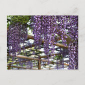 Wisteria Trellis: Kameido Tenjin, Tokio Postkarte (Vorderseite)