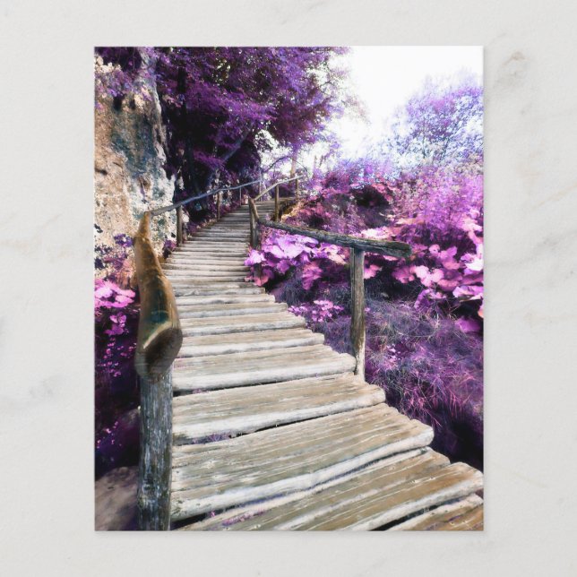 Wisteria-Treppe (Vorderseite)