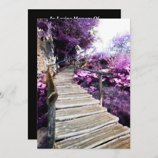Wisteria-Treppe Programm (Vorne/Hinten)
