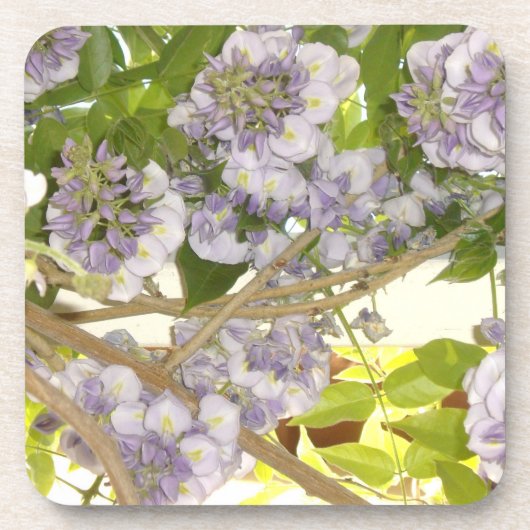 Wisteria Untersetzer (Vorderseite)