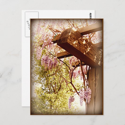 Wisteria Urbane Postkarte (Vorne/Hinten)