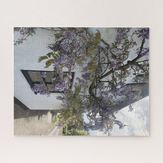 Wisteria wächst gegen eine weiße Hütte Puzzle (Horizontal)