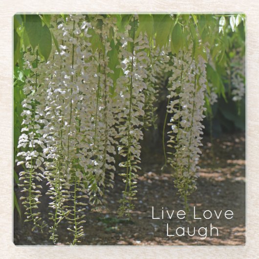 Wisteria White Garden Blume Live Liebe Glasuntersetzer (Vorderseite)