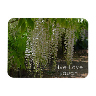 Wisteria White Garden Blume Live Liebe Magnet