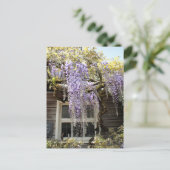 Wisteria Window - Wisteria Blume Locarno Postkarte (Stehend Vorderseite)