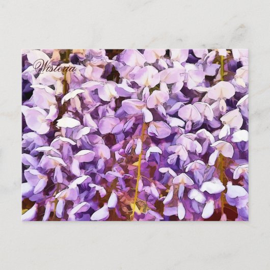 WISTERIEN-BLUME POSTKARTE (Vorderseite)